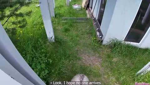 Leah Meow - Fucked Sister Outdoors until Parents see