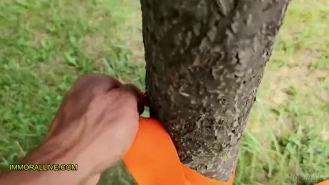 Teenager w/ Huge Tits Taylee Wood Gets Tag Teamed by Dad & His Boy with Big Cock