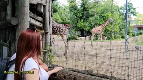 ANNOYING STEP SISTER GOES TO THE ZOO WITH HER BRO - Chubby Teen with Big, Round Ass is a Nympho!