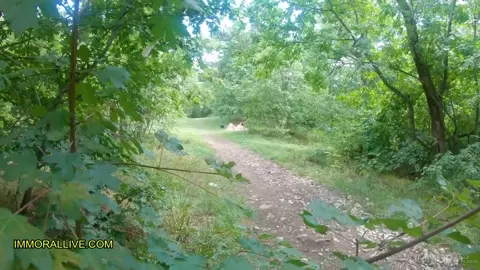 Dad & His Son Spy on Horny Sunbather - Big Booty Teen Gets Tag Teamed - Mia Rose Part 1 of 3