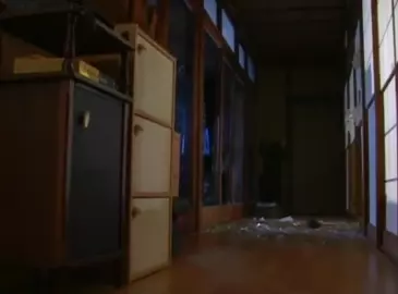 Bijita Q/Vistitor Q (2001)