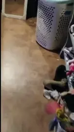 Happily_Sweet - Spying On Mommy Gets You A HandJob