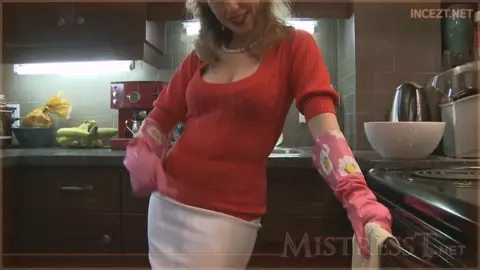 Mistress T - Mums Dish Washing Gloves
