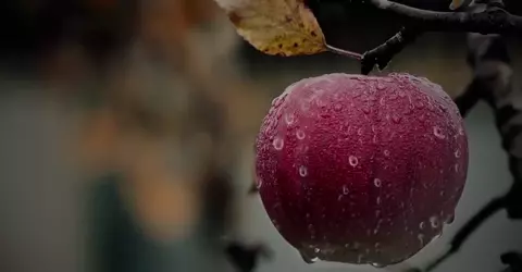 More than your Mother