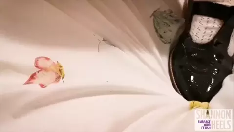 Shannon Heels – Caught Bro Trod On His Cock