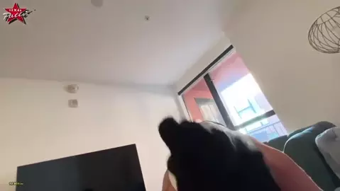 Texas Patti – Finally 18. Happy Birthday, Dear Son