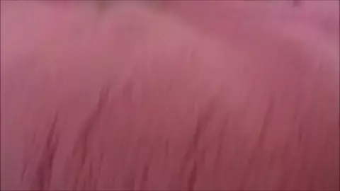 MomComesFirst – Good Morning With Step Mom Brianna Beach