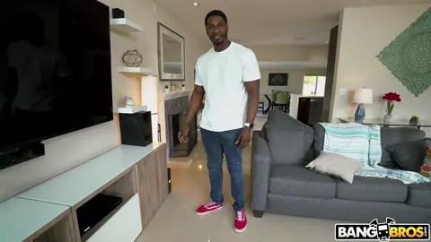 BrownBunnies – Mini Stallion Pocketpussy