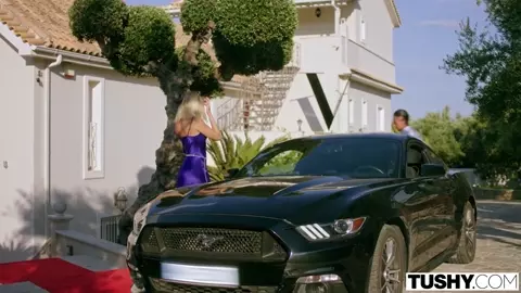 Hot Blonde Angelika Grays Fucked Hard By Hotel’s Waiter