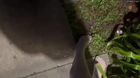 Miss Ellie - Dirty Sis Big Mess