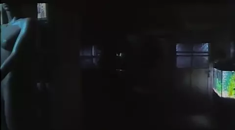 Sweet Degeneration (1997)