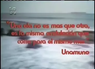 A Fêmea do Mar / The Female of the Sea (1981)