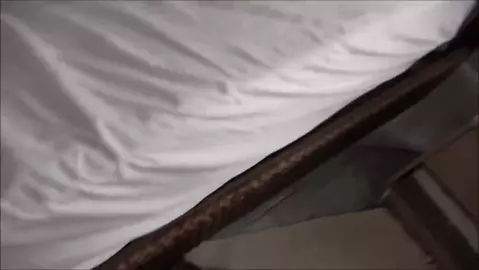 Brianna Beach – The Girlfriend Accident