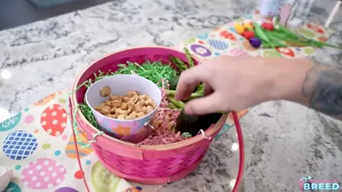 Savanah Storm - Easters The Start Of Breeding Season - S6:E6