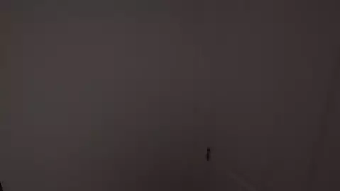 Harley Taboo - Father Of The Bride