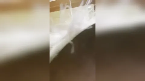 Yourhikerbabe - Crushed By Step-Mom