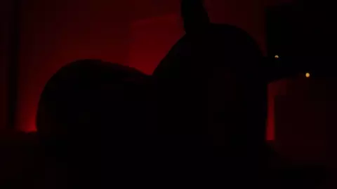 BuniBun – Mommy is a demon succubus