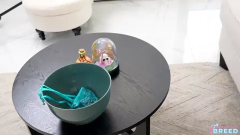 Stepmom's Tricks Are Treats